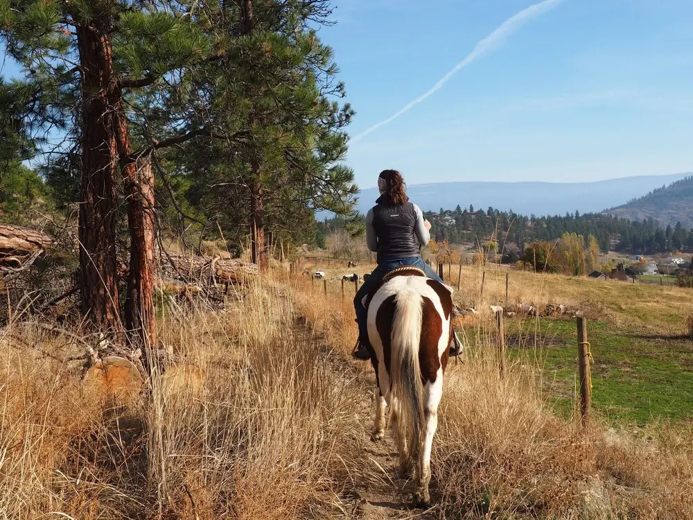 Red Barn Ranch