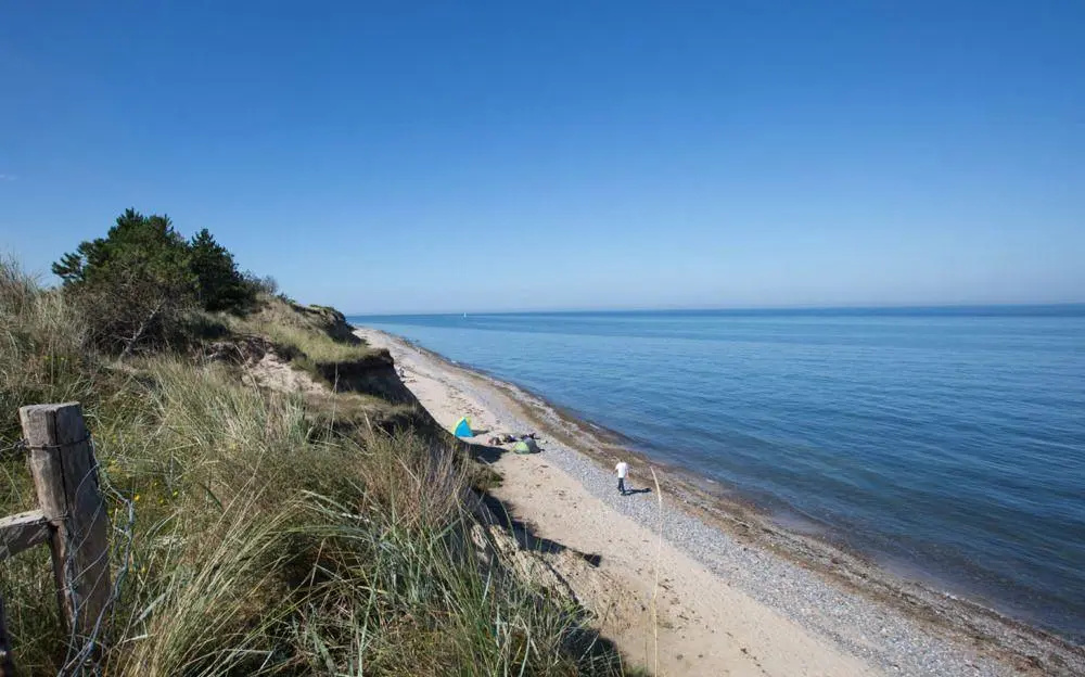 Reetland am Meer