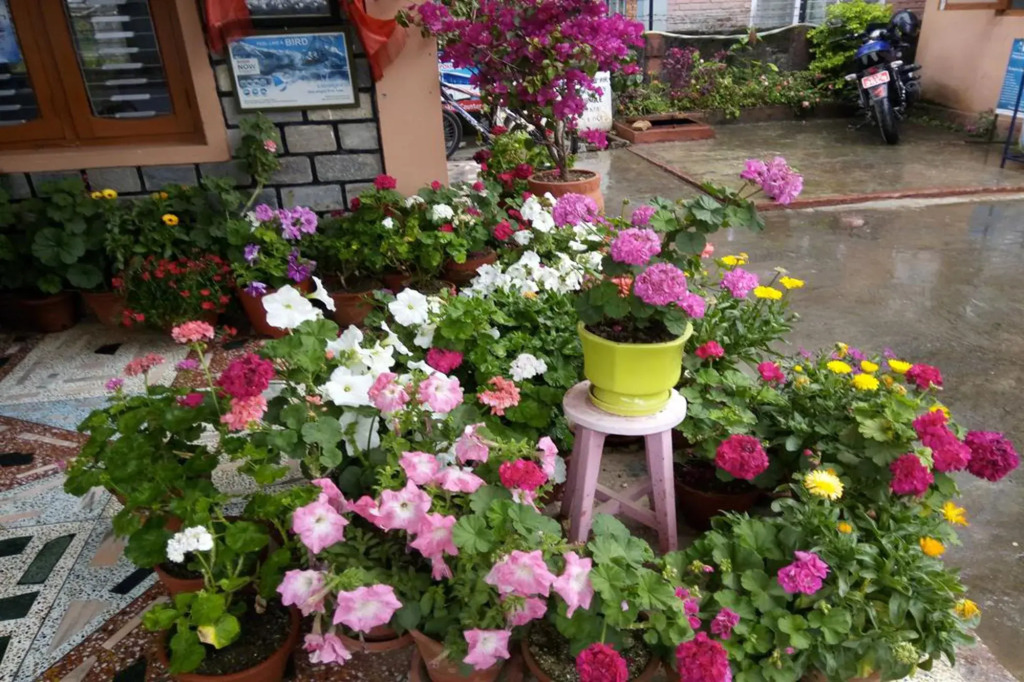 Galaxy Inn Guest House