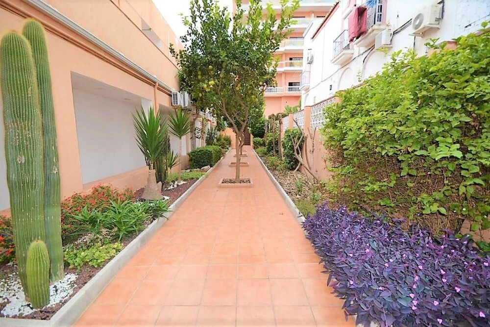 Apartamento Olé Playa 8