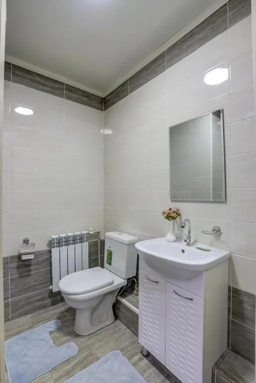 Apartments for rent Bishkek