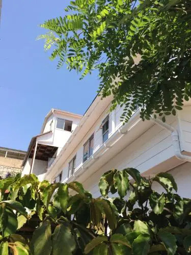 Hostal Recreo