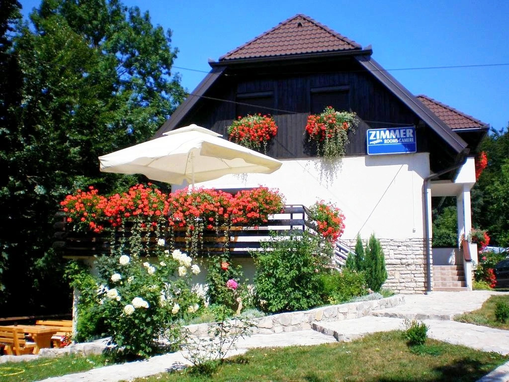 House Sankovic