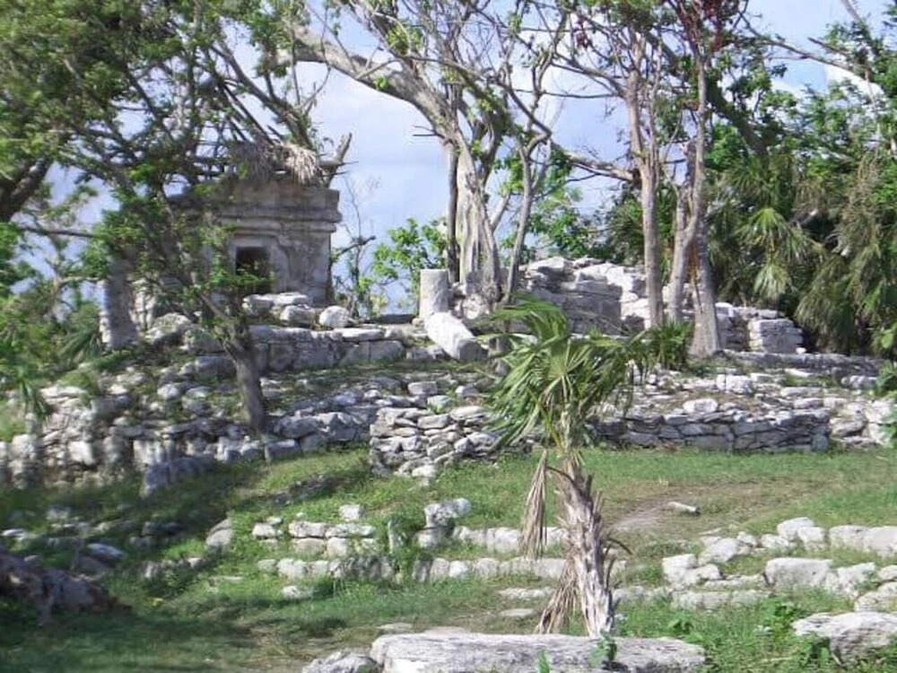 Apt In Playacar Very Close To The Beach And 5th Av
