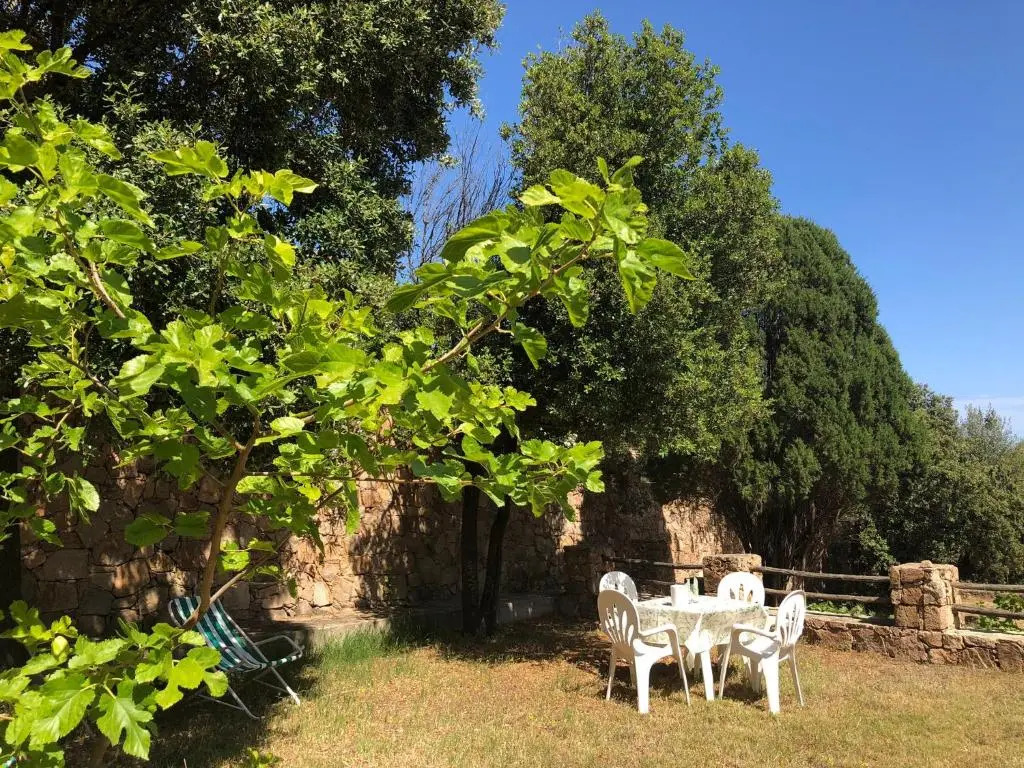 SaMurtaBianca 1
