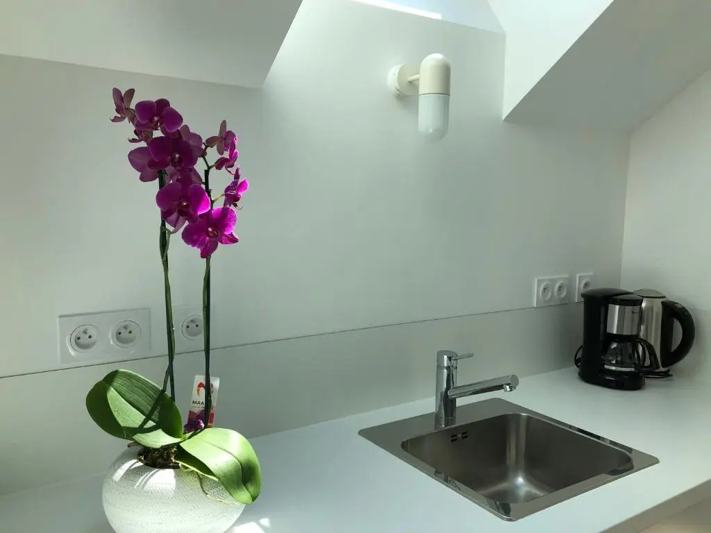 La Maison de la Douce Heure, 4 appartements climatisés avec jardin au centre ville proche des Thermes