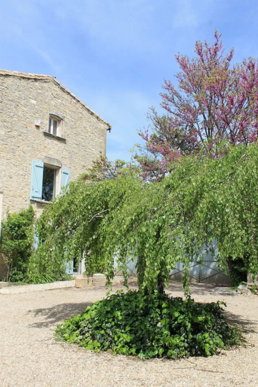 Chambres d'Hotes La Rose