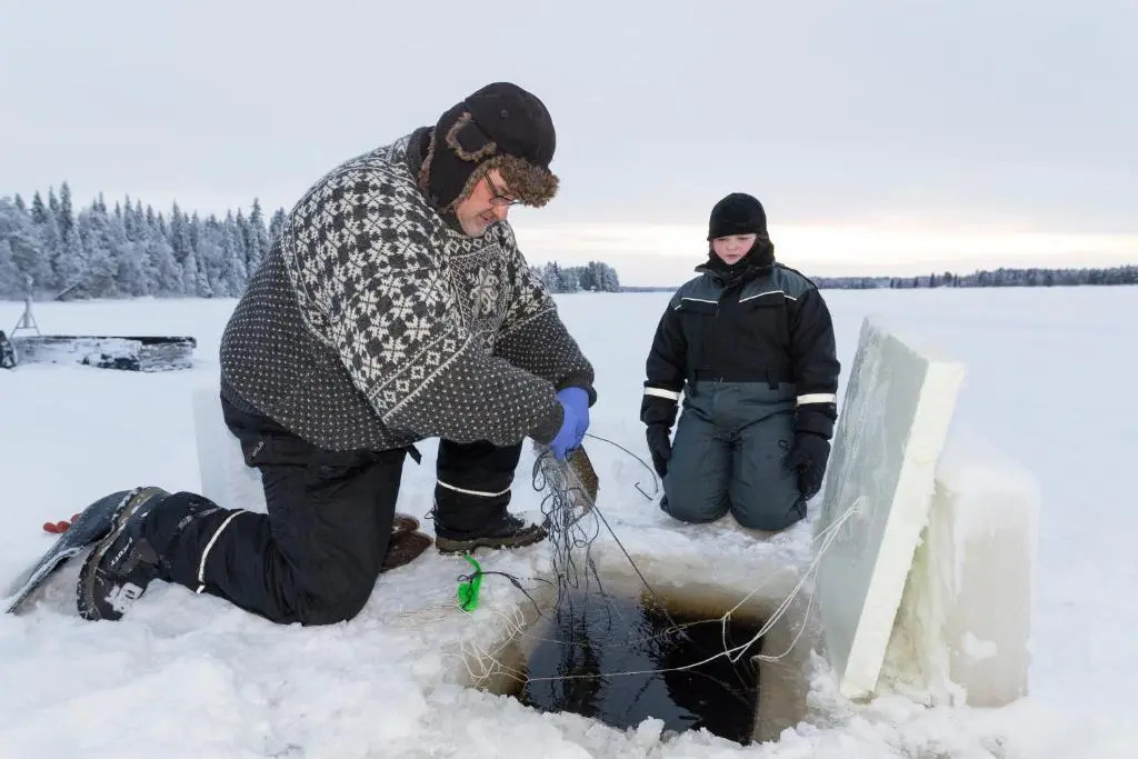 Ranua Resort Arctic Igloos