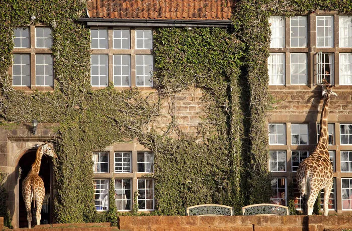 Giraffe Manor
