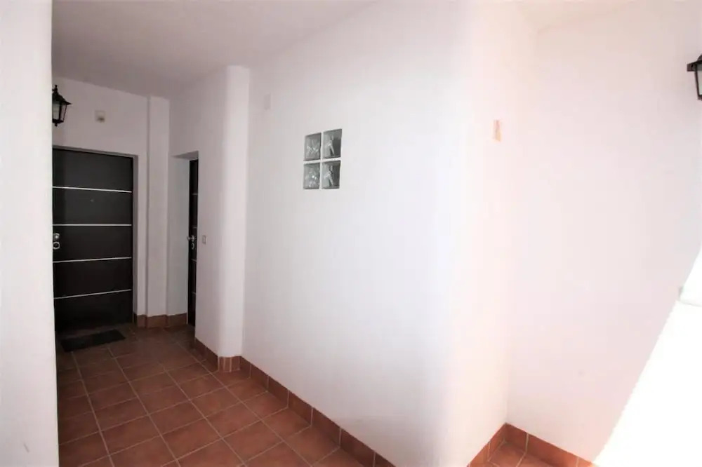 Casa Pingo