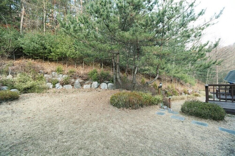 Sane Deule Pension