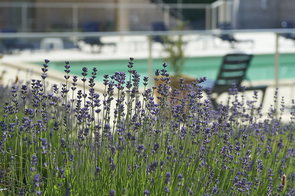CitHotel Les Alizés
