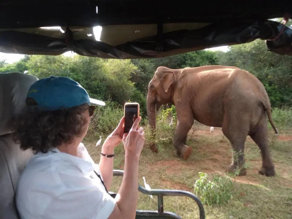Happy Beach Safari retreat