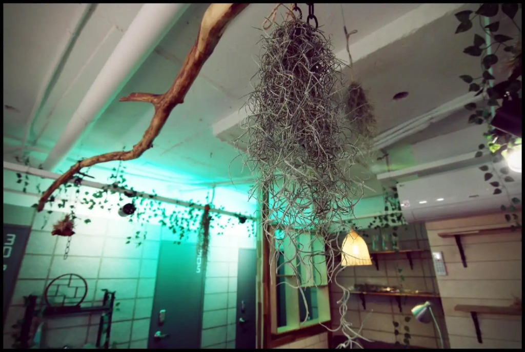 Sinchon house