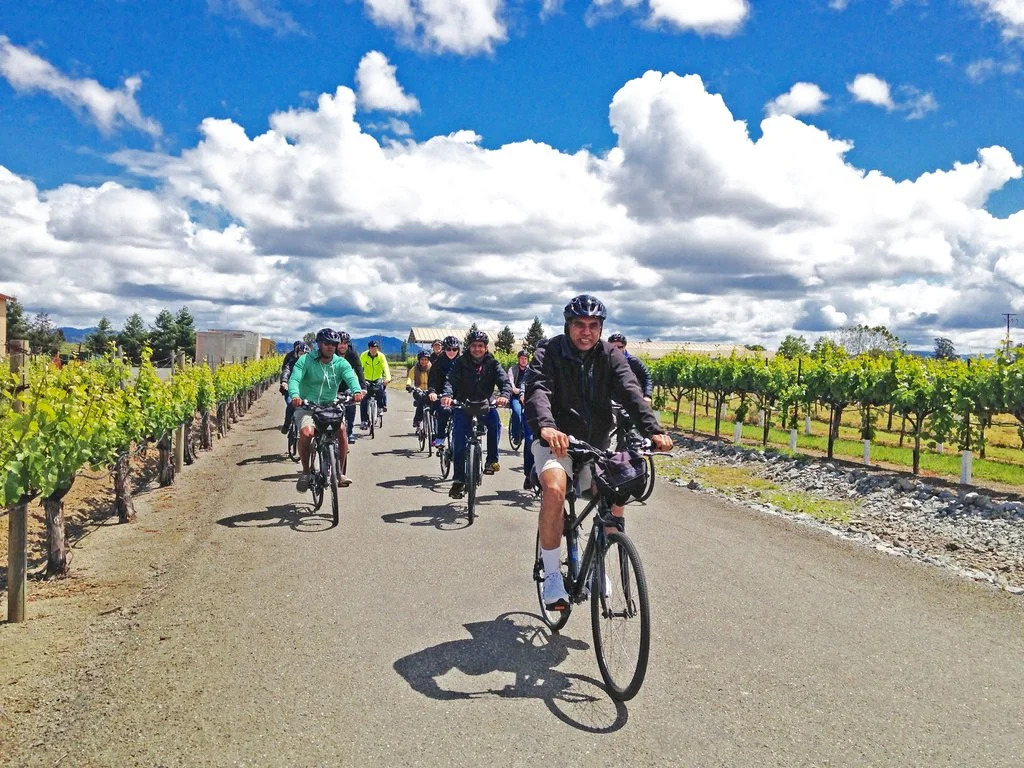 Holiday Inn Windsor - Wine Country by IHG