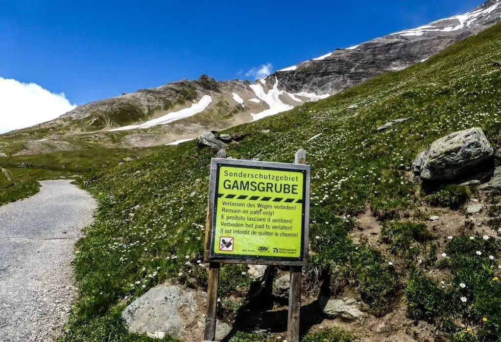 Landhaus Alpenrose - Feriendomizile Pichler
