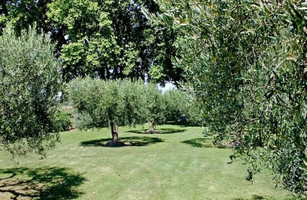Holiday Home in Lombardy by Lake Idro