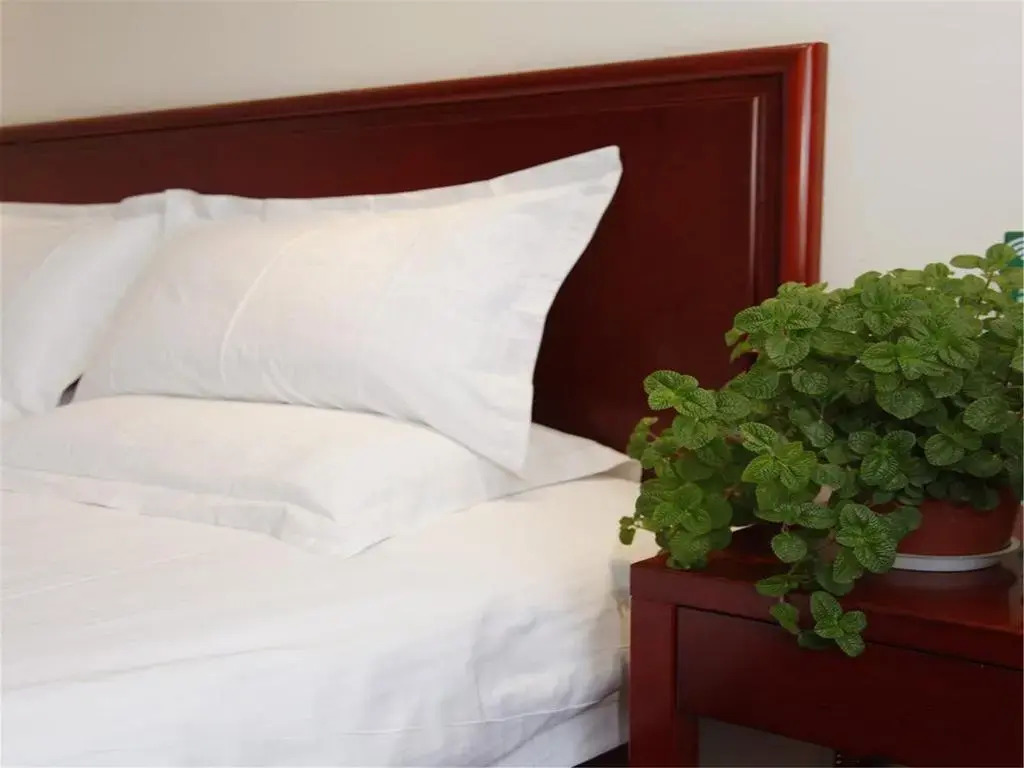 GreenTree Qinhuang Island Railway Station Business Hotel