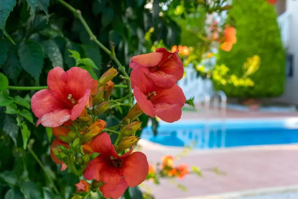 Villa Aretousa 2
