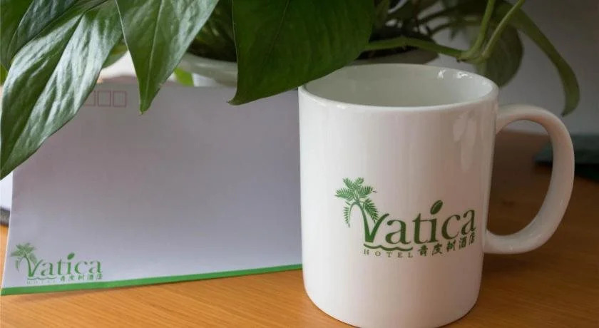 Vatica TianJin NanKai Hardware Market West JieYuan Road Hotel