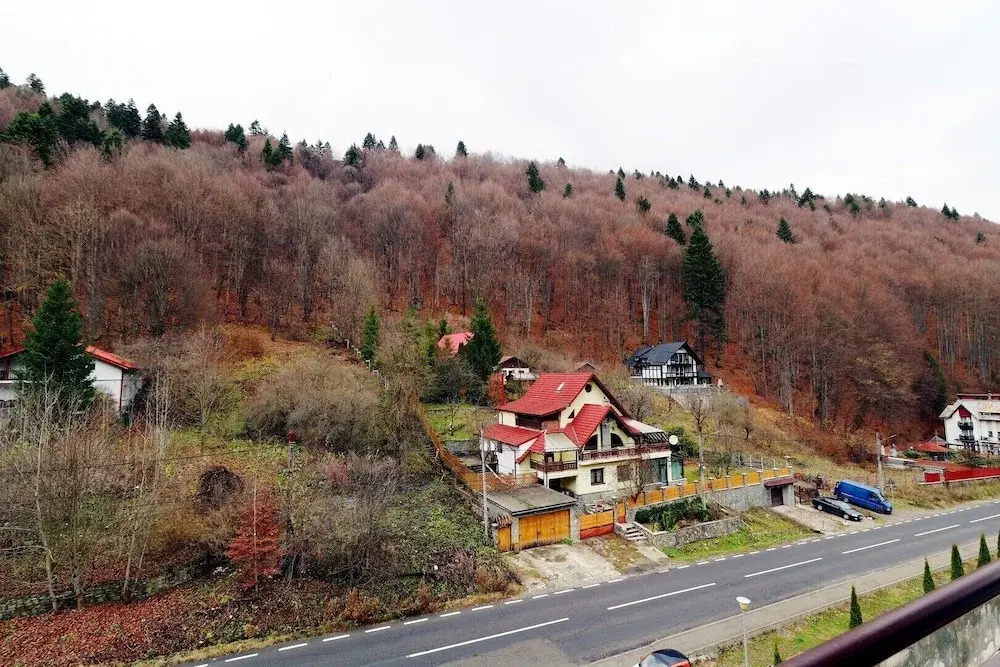 Vlad Studio