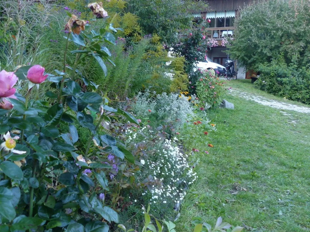Apartment in Schonsee Near Lake Beach