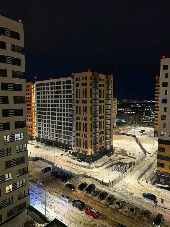 Попугай 1