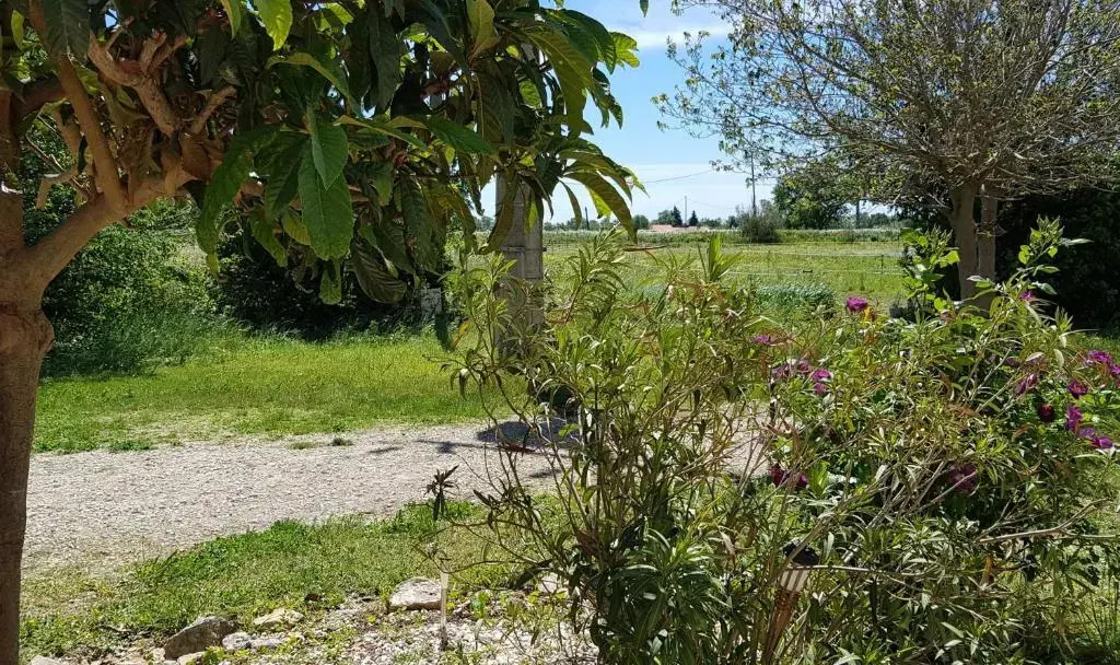 Petite maison refaite à neuf dans mas du 19ème siècle
