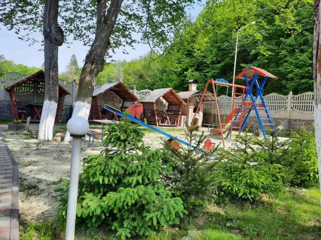 Apartments in Polyana