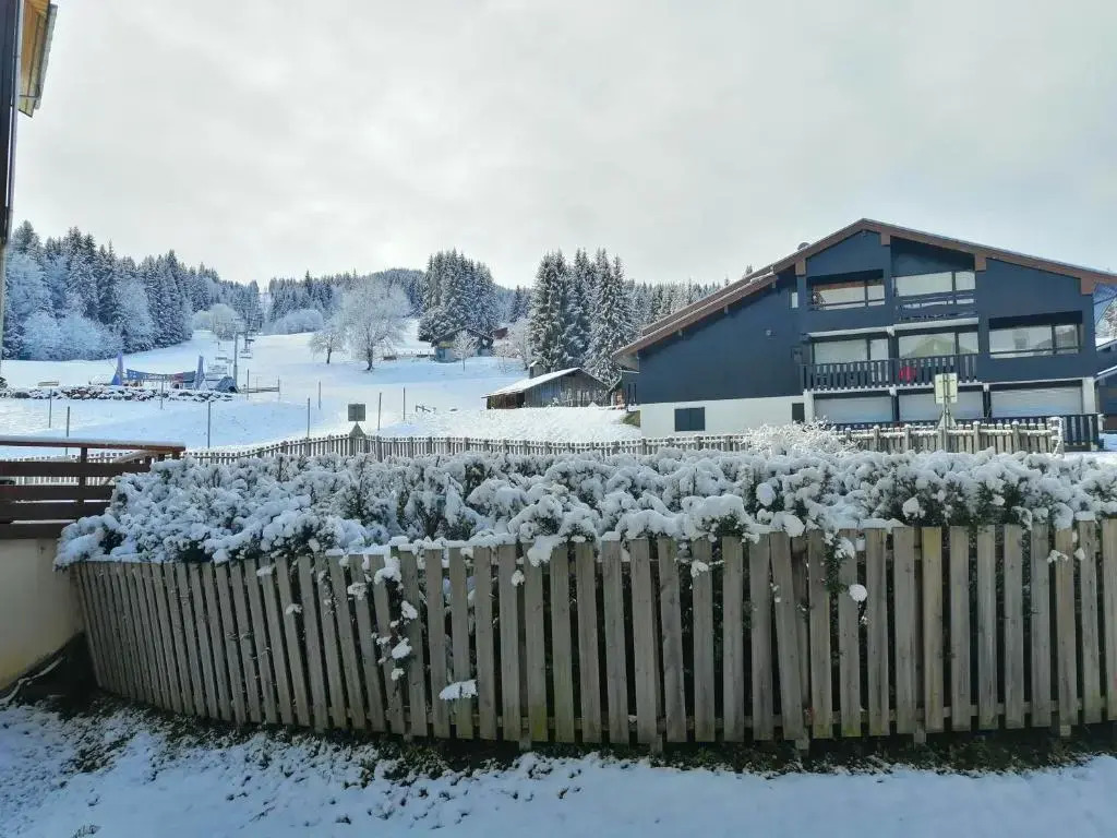 Appartement Morillon 1100, 2 pièces, 6 personnes - FR-1-412-59