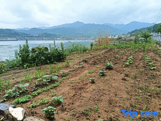 Yichang Danfengyuan Homestay (Three Gorges Dam Scenic Area)