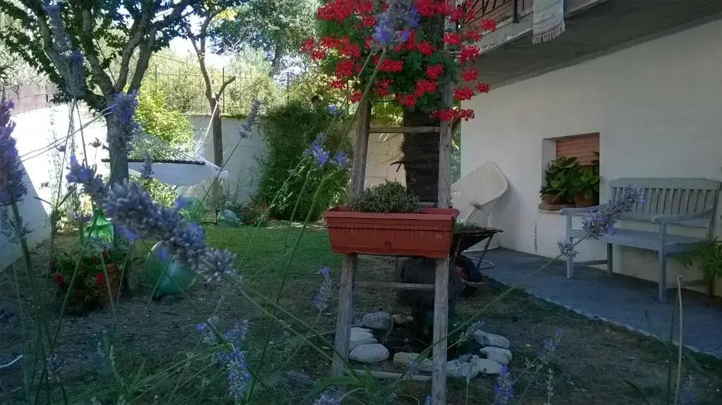 B&B Teranga