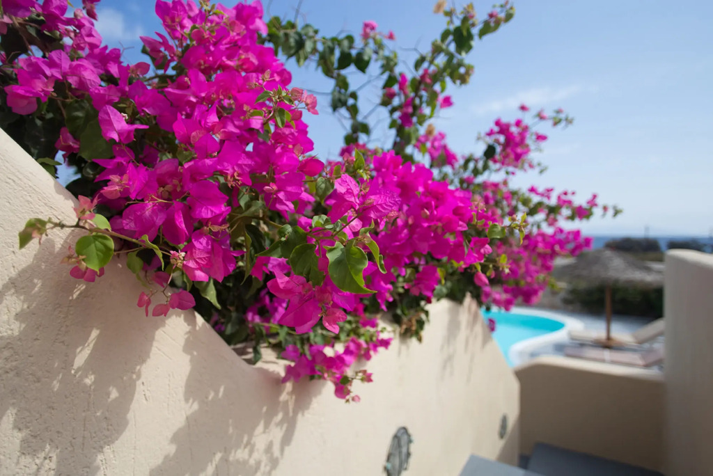 Kalypso Houses-Daphne, Sunny House For 6 Pr. Pool.