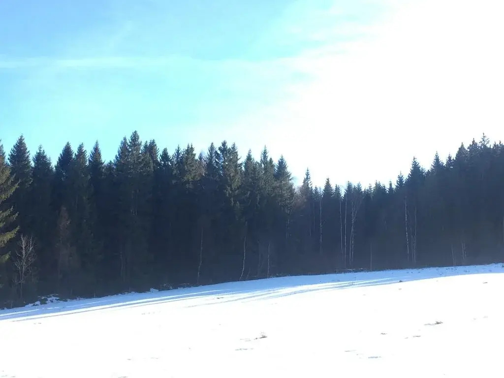 Selská Chalupa