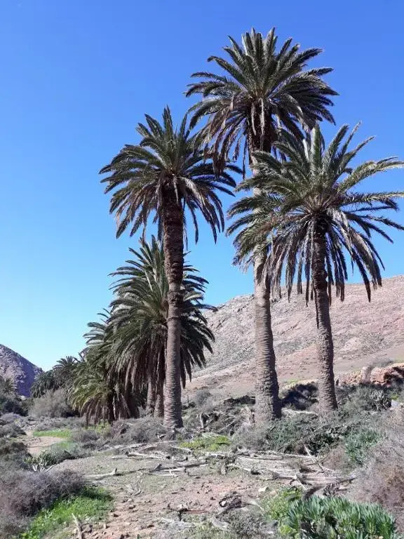 La Pradera