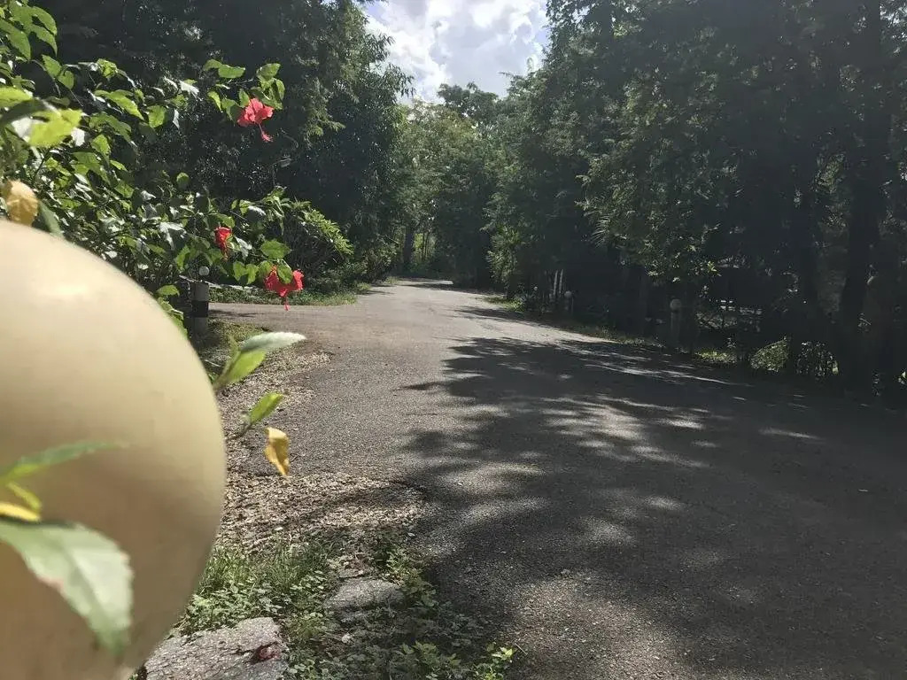 Suan Ngern Resort