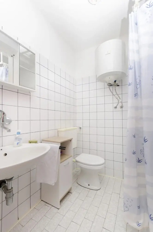 Apartment Branka