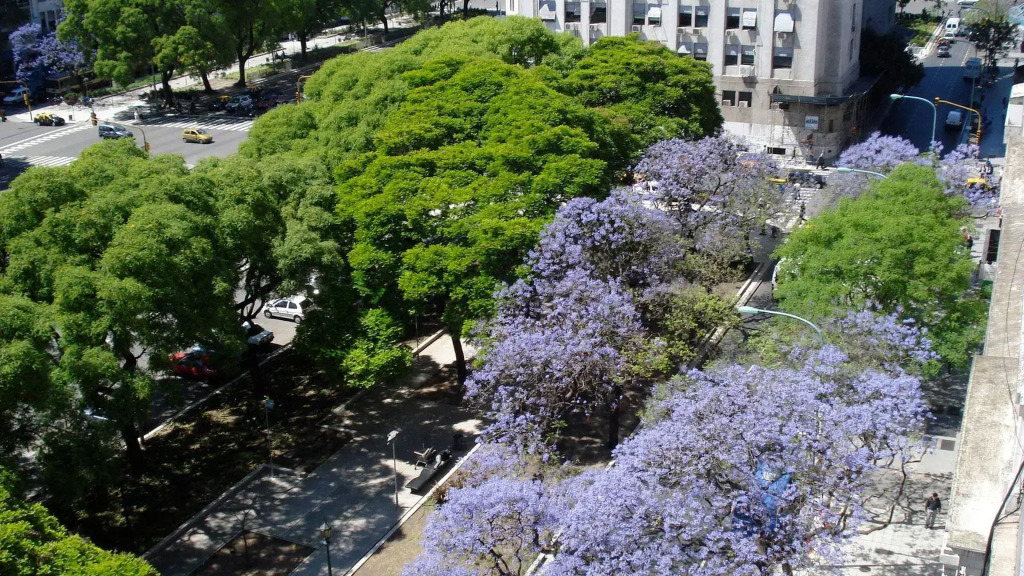 HTL 9 de Julio BsAs