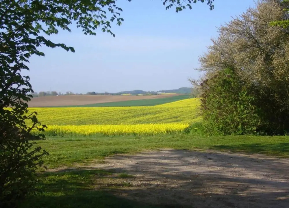 Wohnung Nahe Ostsee Kuhlungsborn
