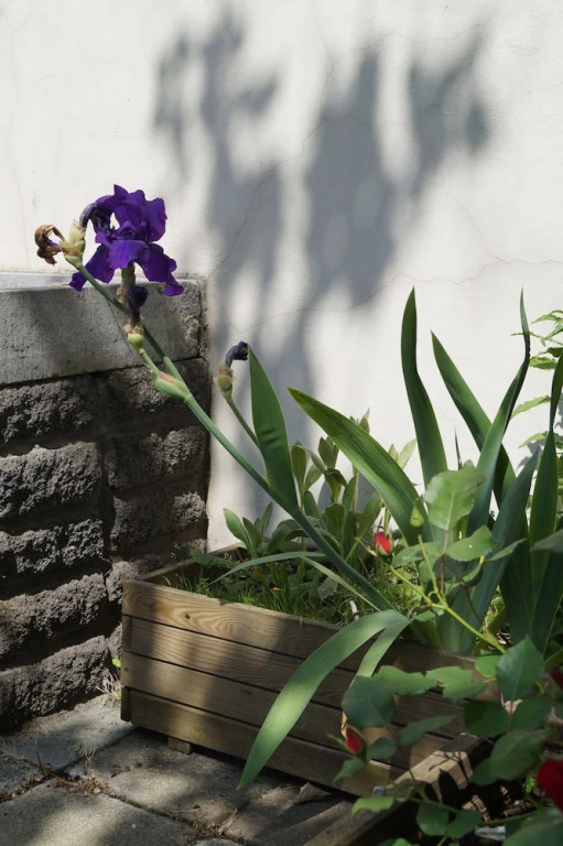 The Captaincy Guesthouse Brussels