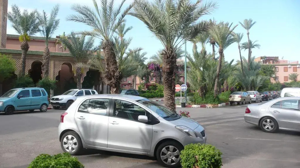 Dar Zahi