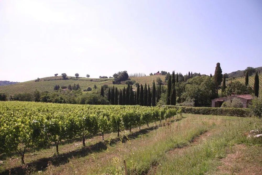 We Tuscany - Wine Tasting Country Cottage