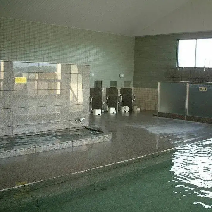 Nakagawa Onsen Hotel Arai