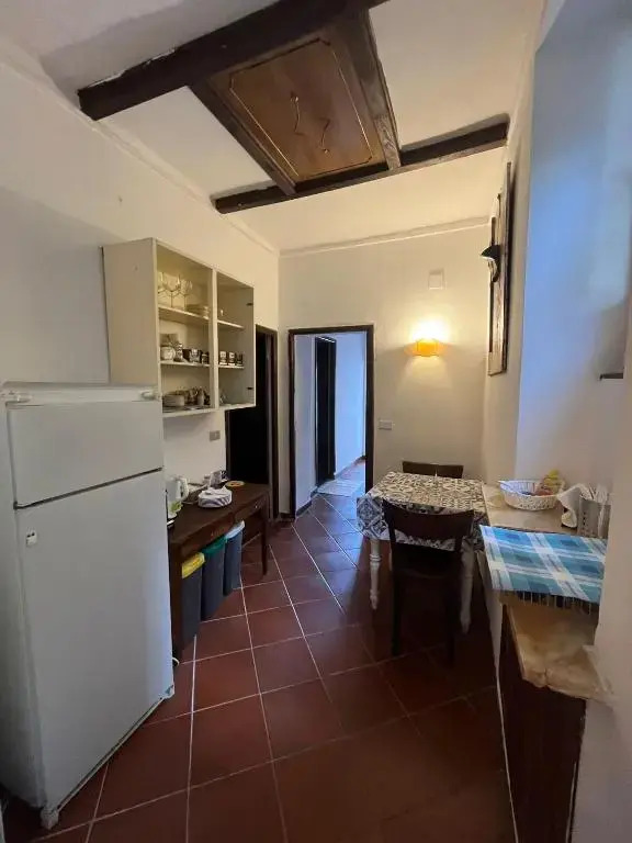 Geckos House