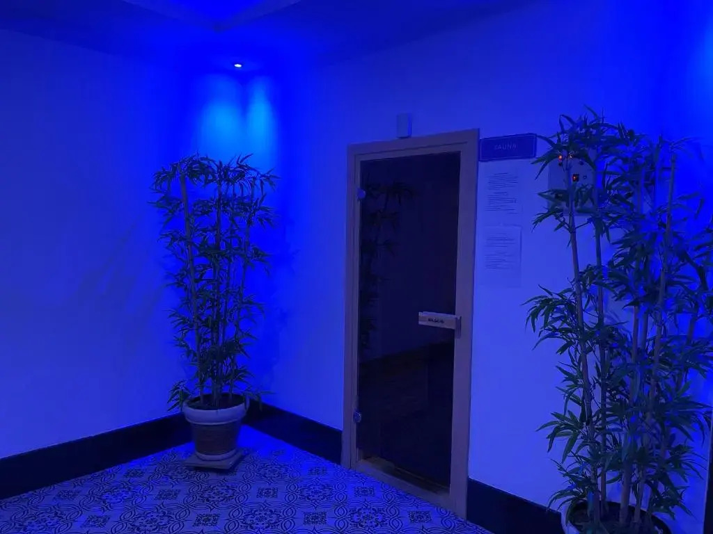 SA Apartments! 1bd Flat and 2bd Duplex