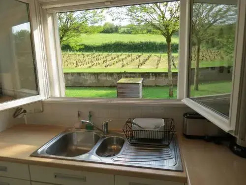 Les Vignes de Paris