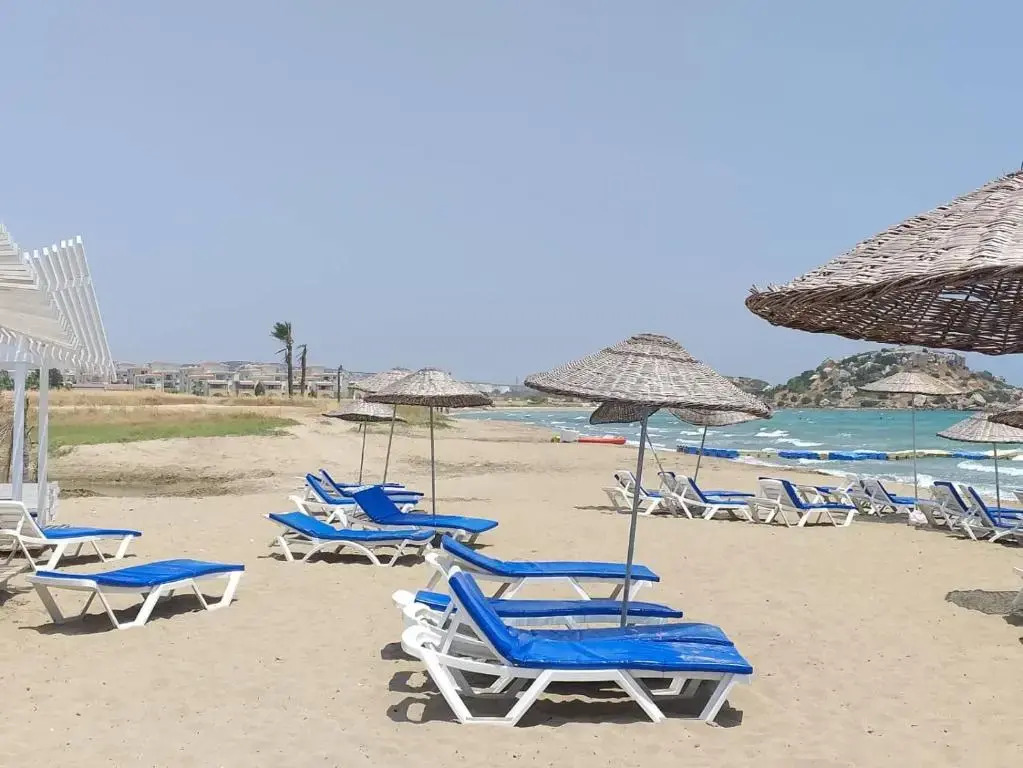 Panorama 44 Agya Napa