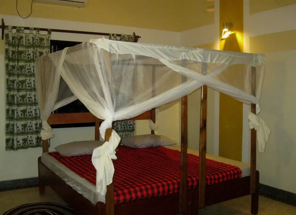 Jamboland-Diani
