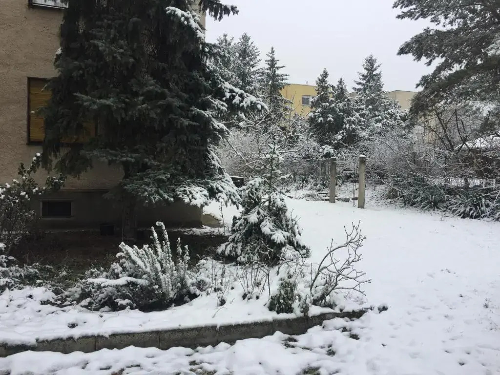 Next to university