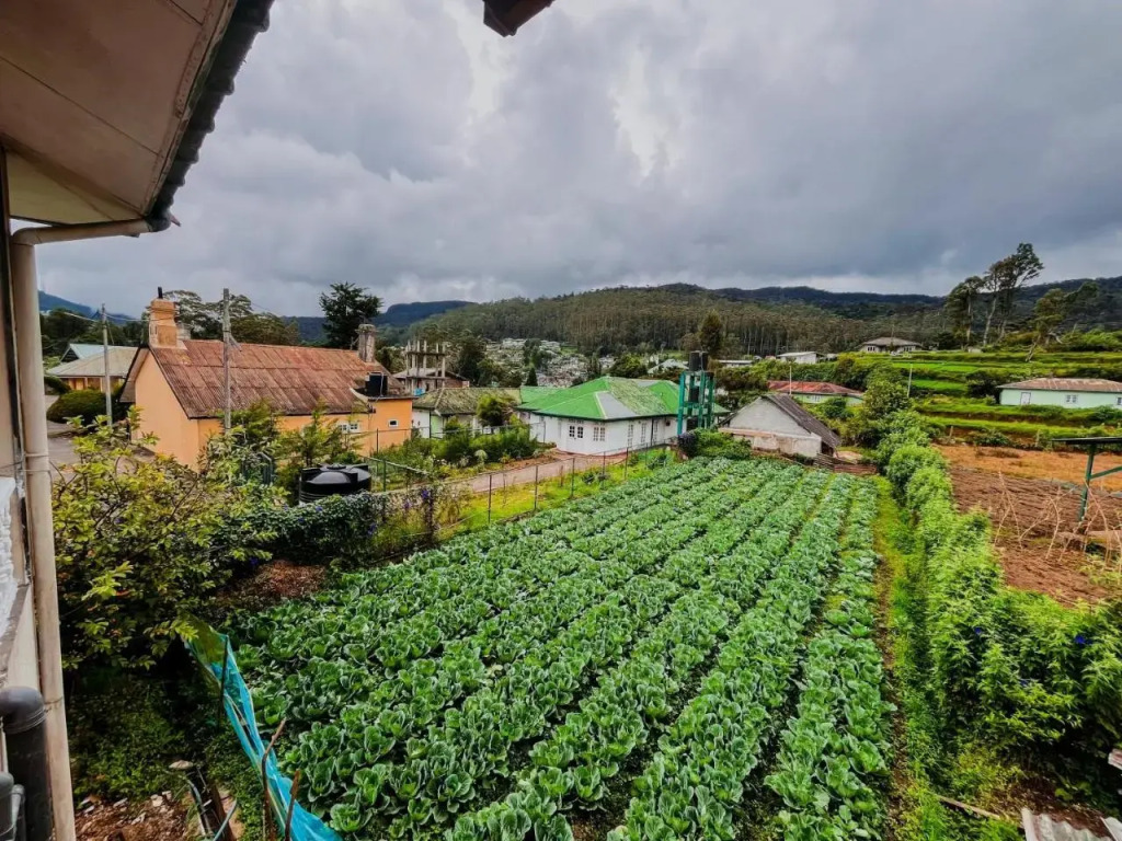 Selis Manor